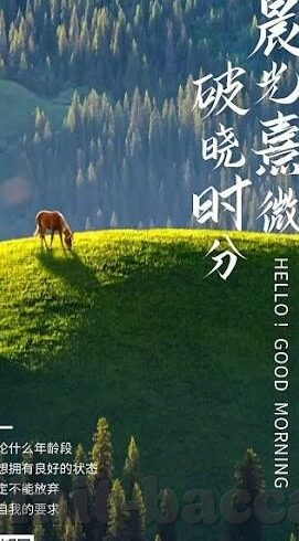 百家乐怎么样才可以赢钱-百家乐赢钱策略，掌握技巧，提升胜率