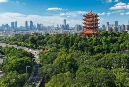 足球小于 2.5的比分-足球赛场上的小球艺术，深度解析小于2.5比分的奥秘与魅力